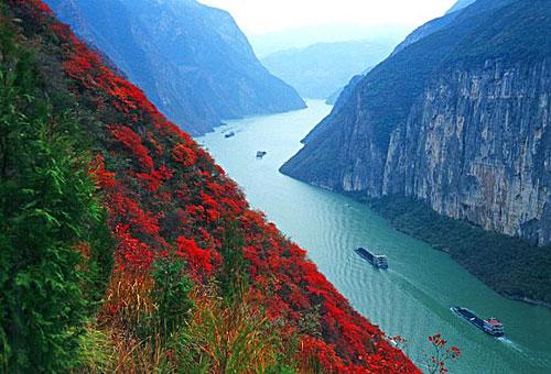 总统七号 重庆至宜昌 长江三峡四日游